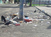 Moradores promovem nesta quinta-feira (22) mutirão de limpeza nas ruas de Manacapuru
