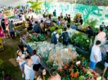 Manaus recebe feira de Flores de Holambra no próximo dia 20 de setembro